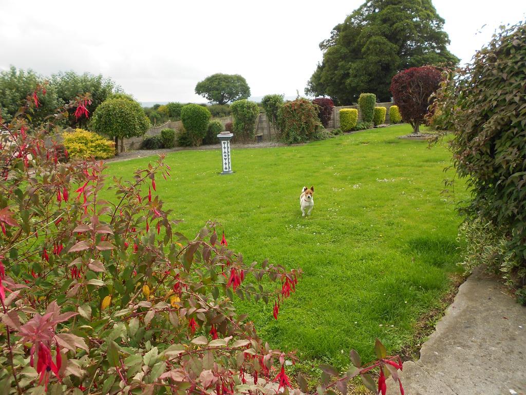 Castlehaven Villa Donaghmore  Dış mekan fotoğraf